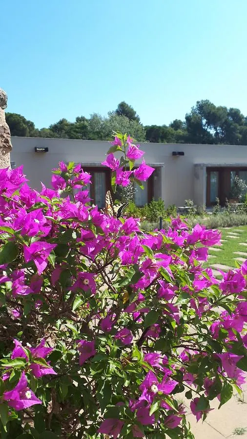 Hotel Mas Del Sol Vall-Llobrega