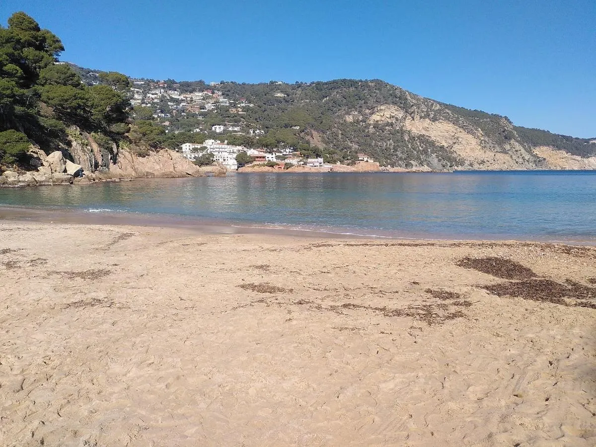 Hotel Mas Del Sol Vall-Llobrega Spain